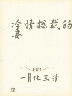 冷情总裁的出逃妻