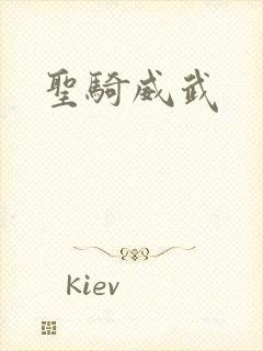 圣骑威武