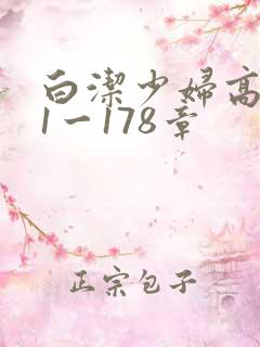 白洁少妇高义第1一178章