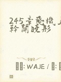 245章飞机上干关晓彤