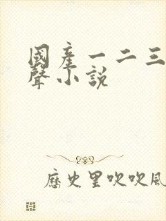 国产一二三区有声小说