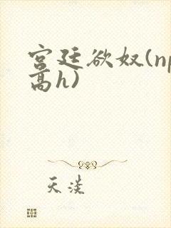 宫廷欲奴(np高h)