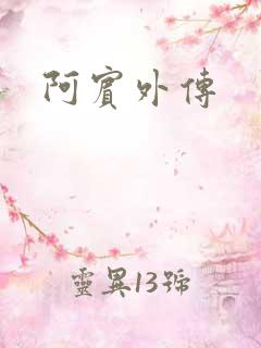 阿宾外传