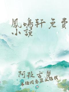 凤鸣轩免费言情小说