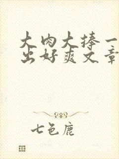 大肉大捧一进一出好爽文章