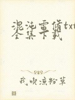 混沌雷修txt全集下载