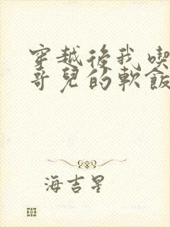 穿越后我吃到了哥儿的软饭炉山灰