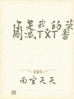 你是我的荣耀未删减TXT番外