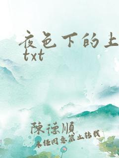 夜色下的上海滩 txt