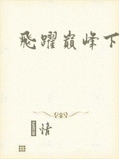 飞跃巅峰下载