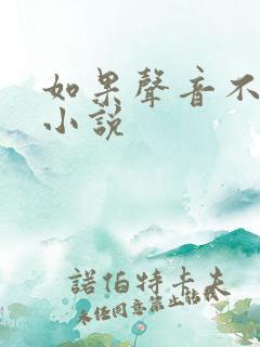 如果声音不记得小说