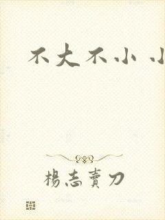 不大不小 小说