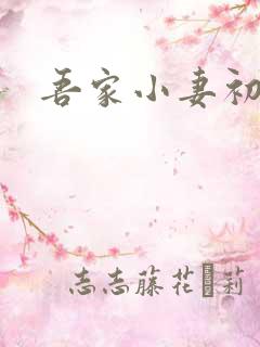 吾家小妻初长成