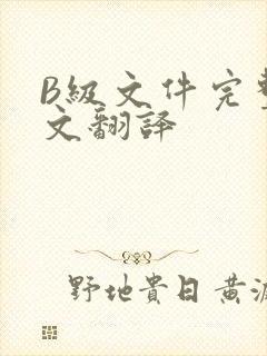 B级文件完整中文翻译