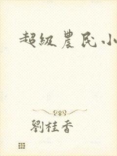 超级农民小说