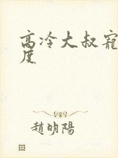 高冷大叔宠妻无度