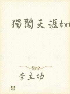 独闯天涯txt