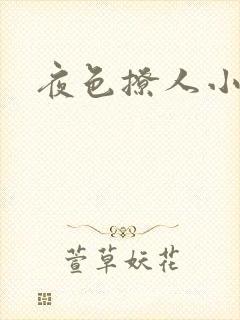 夜色撩人小说