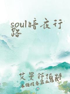 soul暗夜行路