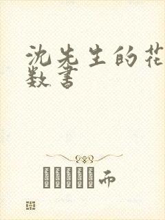 沈先生的花式调数书