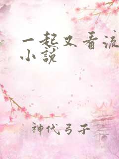 一起又看流星雨小说