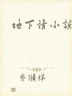 地下情小说