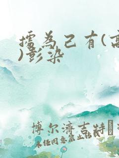 据为己有(高干)彭染