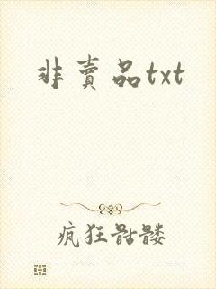 非卖品txt
