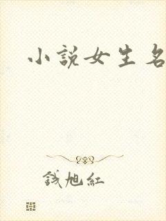 小说女生名字