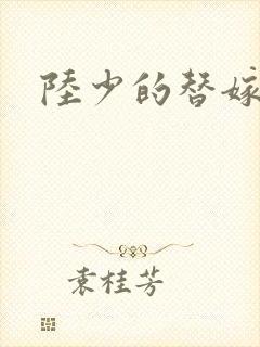 陆少的替嫁宠妻