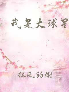 我是大球星