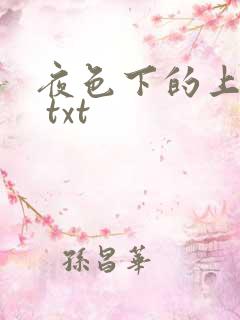 夜色下的上海滩 txt