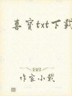 喜宝txt下载