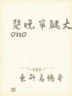 楚晚宁腿大张mono