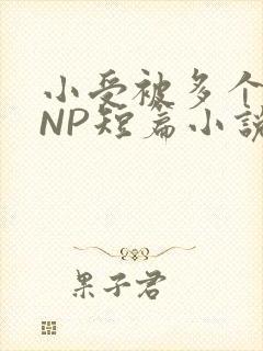 小受被多个攻强NP短篇小说