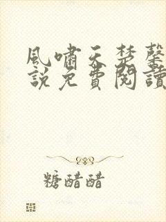 风啸天楚馨月小说免费阅读