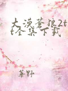 大漠苍狼2txt全集下载