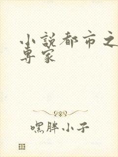 小说都市之军火专家