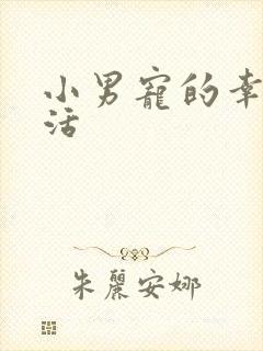 小男宠的幸福生活