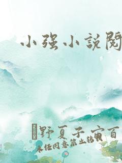 小强小说阅读网