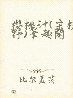 樱桃汁(宋枝江野)笔趣阁
