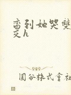 脔到她哭双根宫交h