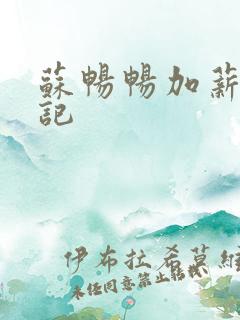 苏畅畅加薪奋斗记