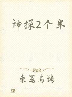 神探2个半