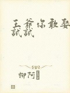 王爷你敢娶小三试试