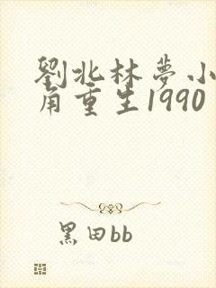 刘北林梦小说主角重生1990