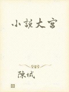 小说大宫