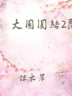 大团圆结2阅读