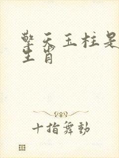 擎天玉柱是什么生肖