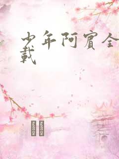 少年阿宾全集下载